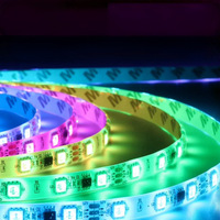 10m 5050 SMD 60LED M direccionable individualmente WS2812B TIRA RGB Pixel LED Strip inteligente programable USB IP20 Wi-Fi 144 direccionable