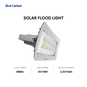 Lampadaire solaire LED avec radar de détection IP65 pour jardin, route, aménagement paysager, alimentation solaire BCT-FLRP1.0, projecteur solaire S - Product Image 1