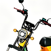 Vélo électrique urbain MAX 48V 1000W, moteur arrière sans balais, cadre en acier au carbone, frein à disque, vitesse unique, affichage numérique LED