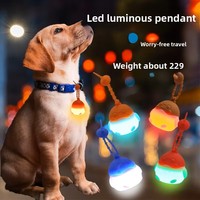 Accessoires pour chiens soigneusement sélectionnés, pendentif de collier en silicone pour animaux de compagnie coloré et lumineux avec charge USB pour la marche de nuit, motif solide