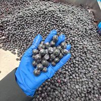 IQF Diepvries Blauwe Bessen, Hele Wilde en Gekweekte, Non-GMO Superfood, Premium Diepvries Blauwe Bessen voor Babyvoeding Puree