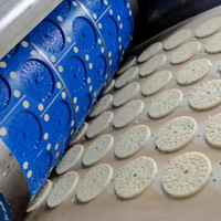 Machine automatique de fabrication de mini-biscuits et de craquelins italiens en Chine