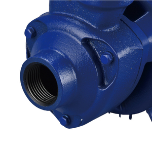 مضخة مياه محيطية احترافية SALI QB60 - Product Image 6