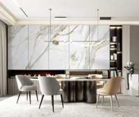 Dalle en pierre frittée de grand format pour comptoir table à manger lavabo mural diverses applications intérieures et extérieures