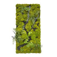 Panneau mural en mousse préservée de qualité supérieure de 100 cm pour la décoration intérieure