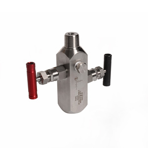Collecteur à deux vannes en acier inoxydable, filetage 1/2 NPT, résistant à la pression et aux hautes températures - Product Image 1