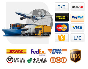 الأكثر مبيعاً المكملات الغذائية الصحية ، كبسولة ألفا جيفثانين L-GPC GPC لصحة الدماغ - Product Image 3