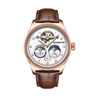 Montre mécanique automatique de luxe HANBORO pour homme, boîtier en acier inoxydable, haute qualité, étanche 5 ATM, luminescente, double hémisphère