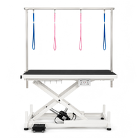 Table de toilettage pour animaux à hauteur réglable avec élévateur électrique, fonctionnement silencieux, structure robuste et surface de travail résistante à l'eau