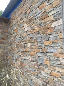 Bên ngoài màu vàng quartzit <span class=keywords><strong>Z</strong></span> Bảng điều khiển đá Veneer tường ốp - Product Image 2