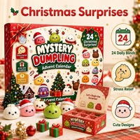 Calendrier de l'Avent Squishy de Noël 2026 – Boîte Mystère 24 Jours en Forme de Dumpling, Jouet Anti-Stress à Remontée Lente, Kawaii, en TPR, à Collectionner, Vente en Gros