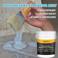 Peinture de réparation d'étanchéité transparente en acrylique pour murs, toits et carreaux