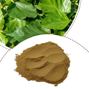Заводская поставка Экстракт Листьев тутового дерева DNJ1 %-5% экстракт листьев тутового дерева - Product Image 1