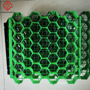 Grilles en plastique pour la stabilisation des allées de stationnement et des chemins en <span class=keywords><strong>gravier</strong></span> - Product Image 6