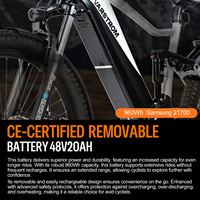 欧盟直运 Varstrom Cola Bear Pro 2.0 48V 20AH 750W 中置电机电动山地自行车 960Wh 越野徒步男士电动山地车