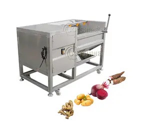 Ginger Peeling Machine Easy To Operate Automatic Industrial 500kg/h Potato Ginger Roller Washer Brush Peeling Machine Potato Peeling Machine