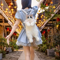 Sac à dos chat Ragdoll bicolore, sac à bandoulière double imitation, peluche en forme de chat, cadeau d'anniversaire