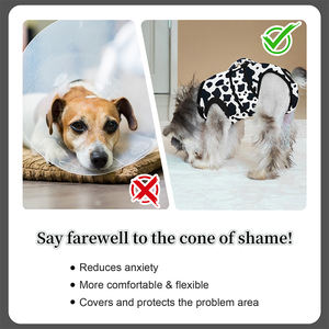 पालतू स्नान सर्जरी पेशेवर रिकवरी शर्ट कुत्ते पेट के पेट के पेट के बाद कुत्ते बिल्लियों के लिए कस्टम नए डिजाइनर रिकवरी सूट की आपूर्ति करता है - Product Image 5