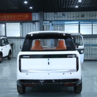 Pick-up utilitaire électrique 4x4 AWD, véhicule utilitaire hybride essence-électrique à nouvelle énergie, 4 places