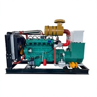 Groupe électrogène industriel EPA 150 kW à gaz (syngaz, gaz naturel, GPL, biogaz) et granulés, alimentation CC, 95 % d'efficacité