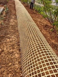 Wholesale Geosky TF010 6 Feet High HDPE Eco-Friendly Waterproof Nature Pressure Treated <strong>Plastic</strong> <strong>Green</strong> Mesh Poultry Animal <strong>Fence</strong> - Product Image 4