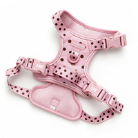 Ensemble Harnais et Laisse pour Chien Personnalisé avec Logo, Motif Pois, Fabricant OEM, avec Collier et Laisse pour Chien avec Nœud Papillon – Vente en Gros