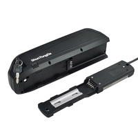 Batterie Lithium pour Vélo Électrique Hailong 36V, Prix de Gros, pour Tube Diagonal, Capacités 13Ah, 15Ah, 16Ah, 17.5Ah, 18Ah, 21Ah