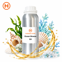 Huile parfumée Ocean Breeze, parfum frais aquatique, longue durée, huile essentielle concentrée, parfum pour bougie, diffuseur, vente en gros