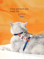 Nouveau 2024 Harnais et laisse pour chat et chien en polyester rayé personnalisé