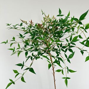 ต้นไม้ประดิษฐ์ Meng Jie รุ่น Nandina Domestica สูง 160 ซม. สีเขียว สำหรับตกแต่งภายในบ้าน สไตล์มินิมอลแบบนอร์ดิก - Product Image 1