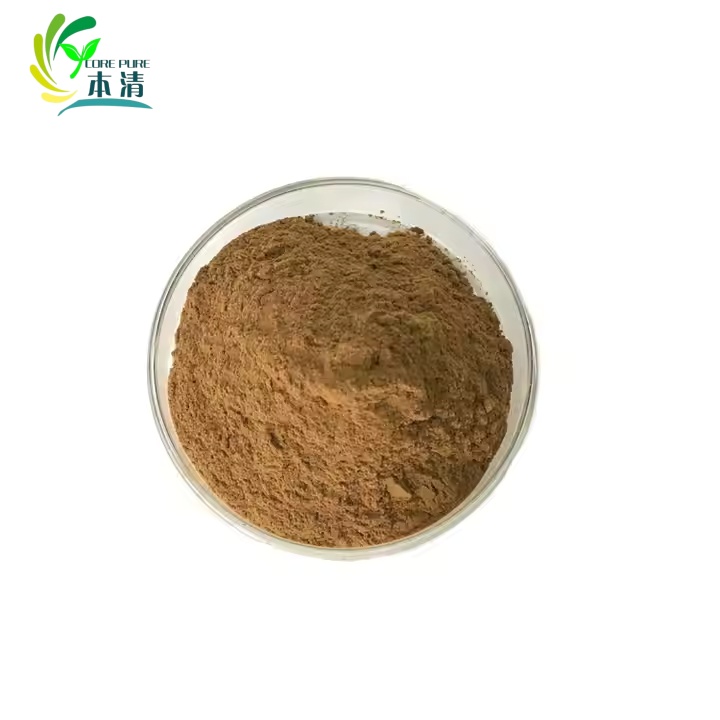 Hot Sale Natural Allicin Powder 1% Garlic Extract Manufacturers Supply Bulk Bag Packaging