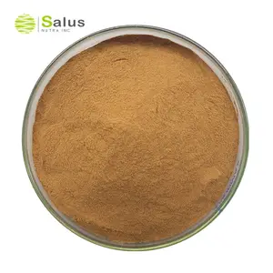 SALUS grosir 30% ekstrak Jamur Polysaccharide Chaga