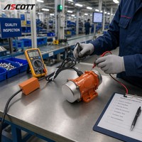 Hocheffizienter 3600RPM Aluminium Elektro-Vibrationsmotor IP65 Externer Betonvibrator Einphasiger Industrieller Vibrationsmotor