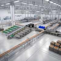 Ligne de nettoyage d'œufs sanitaire de grande capacité, 60 000 œufs par heure, SUS304, pour usine commerciale de traitement d'œufs propres