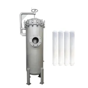SS304 Customized Size Chemical Precision Cartridge Filter Housing