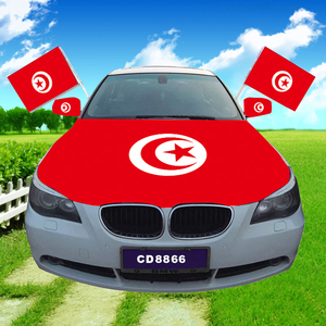 Bandera Personalizada de la Selección de Fútbol de Túnez, Bandera de Animación para Fanáticos, Chal con Bandera, Jugadores Tunecinos Agitando Banderas, Partido de Fútbol - Product Image 4