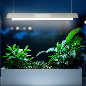 หลอดไฟ LED T8 แบบรวม 72W สำหรับปลูกพืช ระดับ IP44 ให้แสง PPFD 250-350 เหมาะสำหรับปลูกผักในร่มแบบไฮโดรโปนิกส์ ช่วงการออกดอกและการเพาะเมล็ด - Product Image 1
