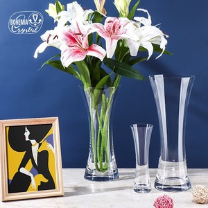 Bohemia Crystal <b>Vase</b> 82570 Slimming Modern Minimalist Hydroponic Flower <b>Vase</b> For Living Room Bedroom Decor - Product Image 5