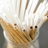 Pailles à boire en bambou et riz à roseaux biodégradables, pailles à boire naturelles, pailles à thé