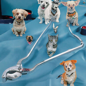 Oferta: Emasculador Curvo SIGAL MEDCO CS-96235 de Acero Inoxidable Alemán de Alta Calidad, Instrumentos Veterinarios con Trinquete, Certificación CE - Product Image 3