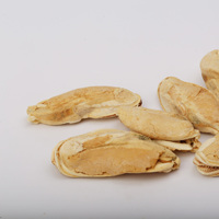 Vente en gros de friandises lyophilisées pour chats et chiens, collations sèches avec pétoncles pour propriétaires d'animaux domestiques