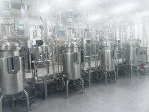 Industrieller Bakterieller Bioreaktor mit Mechanischer Rührung 200L-200L Edelstahl Mikroalgen Gewebekultur Druckbehälter Motor - Product Image 3