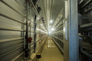 Sıcak satış tavuk Broiler kafes sistemi için et tavuk kafesi broiler tavuk için - Product Image 5