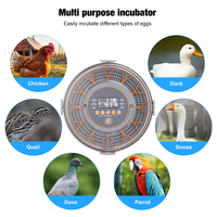 Couveuse automatique à œufs de capacité de 12 œufs pour le contrôle de la température et de l'humidité des poussins à couver avec fenêtre transparente à 360 degrés