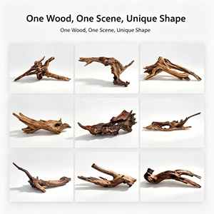 REPT040 <span class=keywords><strong>D</strong></span>écoration populaire en bois flotté naturel pour l'escalade et les cachettes des dragons barbus, geckos crêpus, serpents, aquariums et terrariums - Product Image 3