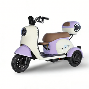 Nouveau modèle de tricycle électrique ouvert pour usage domestique, petit vélo à batterie pour femmes, idéal pour transporter des enfants, véhicule de transport pour adultes et seniors - Product Image 6