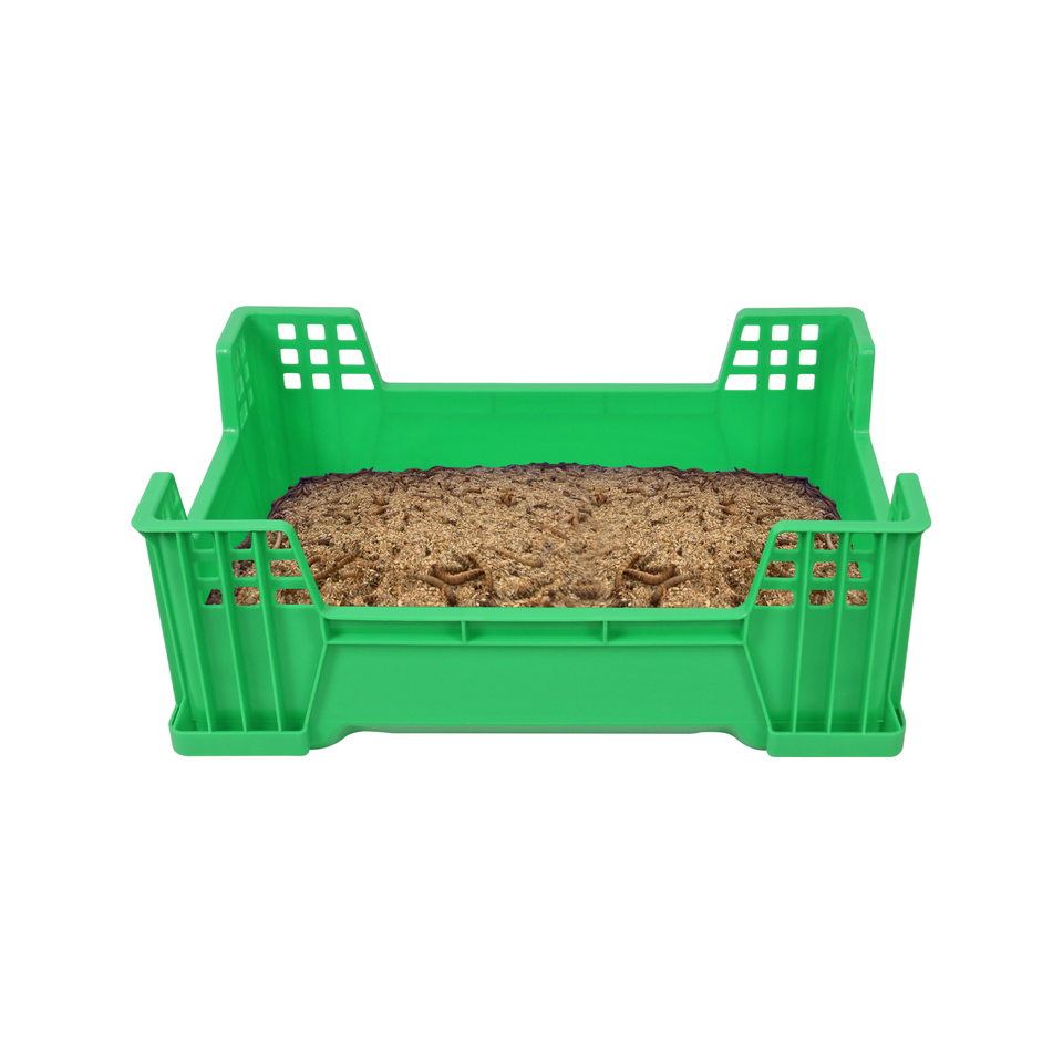 QS Robust Polymer Construction Interlocking Green Insect Farming ...