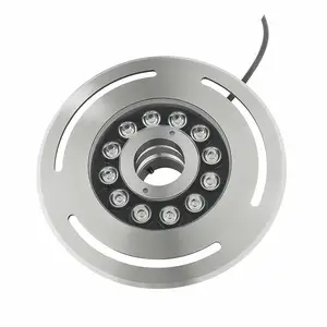 Đèn Vòi Phun LED Chìm Bằng Thép Không Gỉ Màu Hiệu Ứng Chìm Dưới Nước Phản Lực Chống Nước IP68 Dmx 24V