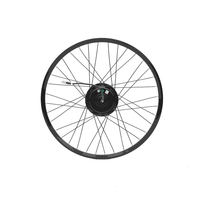 Kit de conversion de vélo électrique rapide avec moteur brushless à engrenages, 350W, grand couple
