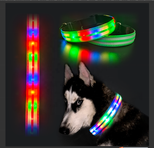 Waterdicht Knipperend Licht Op Pet Kraag Usb Type-C Herladen Luxe Verstelbare <span class=keywords><strong>Led</strong></span> Hond Lichtgevende Halsband Voor Hond - Product Image 1